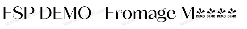 FSP DEMO   Fromage M字体转换